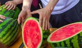 吃瓜长清大学体育生,校园生活新篇章